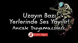 Uzayda Sesin Hiç Yayılmadığı Doğru mu? Uzayda Bazı Ses Dalgaları Yayılır; Ancak Duyamazsınız!