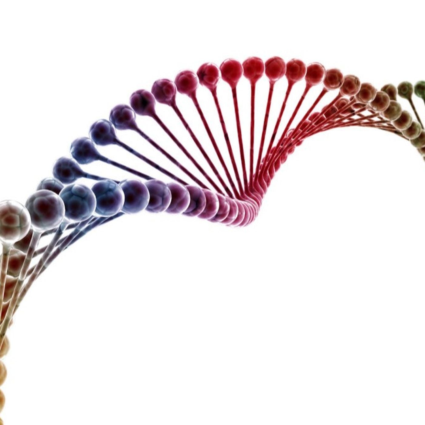 DNA, Veri Taşıma Kapasitesi Olan Milyonlarca Genetik Molekülden Sadece Biri Olabilir!