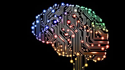 Beynimiz Çok Gelişmiş Bir Bilgisayar mı, Değil mi?