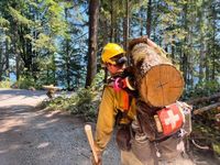 Firefighters question leaders’ role in ICE raid near Bear Gulch Fire - High Country News