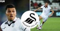 Joel Piroe reacts to big Swansea City, Joe Allen news