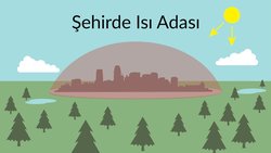 Kentsel Isı Adası Nedir? Nasıl Oluşur? Nasıl Önleyebiliriz?