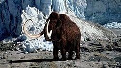 Yünlü Mamut Nedir? Ne Zaman Yaşadı ve Ne Zaman Yok Oldu?