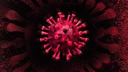 Salgınlar Nasıl Sona Erer?