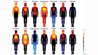 Vücut His Haritası, Duygularımızın Organlarla İlişkisini Ortaya Koyuyor!