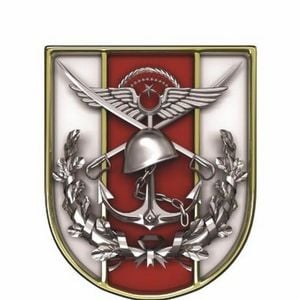 Türk Silahlı Kuvvetleri