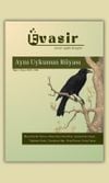Kvasir