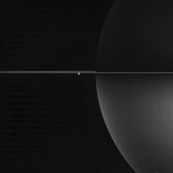 Thin Rings Around Polarized Saturn
