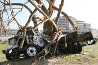 How Many Died in the Joplin Tornado? New Documentary Revisits 2011 Storm