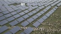 China Unveils Plans for World’s Largest Solar Farm Amid Carbon Emission Decline - SSBCrack News