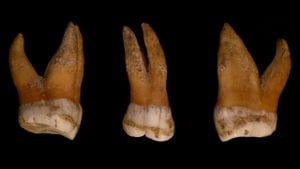 Atalarımızın Y Kromozomu, Neandertaller'in Y Kromozomunun Yerini Aldı!