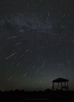 Westmeath Lookout’taki Perseid Patlaması