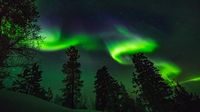 Northern Lights Could Light Up The US Sky This Week: Where And When To Watch