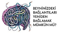 Nöroplastisite Nedir? Beynimiz, Değişen Çevre Koşullarda Kendisini Nasıl Değiştirir?