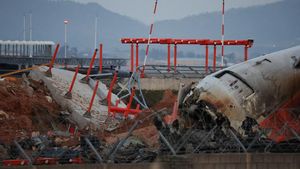 Jeju Air Crash Prompts Nationwide Airport Safety Reviews