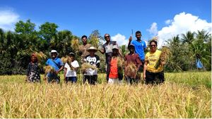 Thailand Rice Farmers Face Economic Crisis Amid Surplus Production