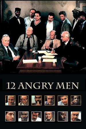 12 Öfkeli Adam