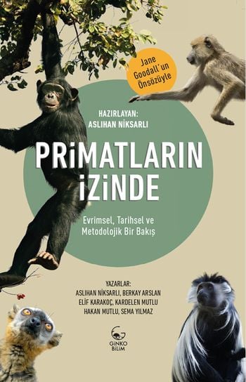 Primatların İzinde