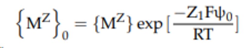 Şekil 3. Nernst Denklemi