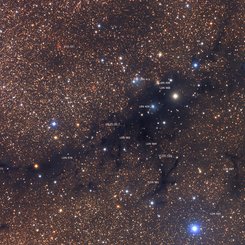  LDN 988: Dark Nebula in Cygnus 