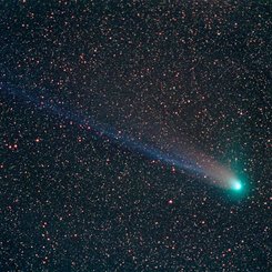 The Tails of Comet NEAT (Q4)