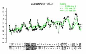 Unveiling The Complex Regulation Of Acetyl-CoA Synthetase