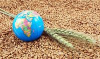 Broad thoughts about South Africa's agricultural conditions