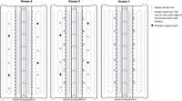 Developing appropriate environmental enrichment strategies for broiler breeders - Scientific Reports