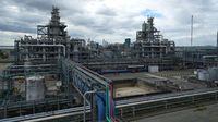 Vivergo: How US-UK trade deal could bring about collapse of huge renewable energy plant in Hull