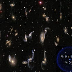 Galaxy Zoo Catalogs the Universe