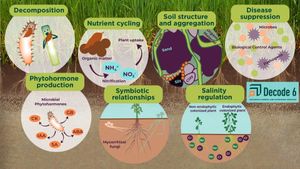 Study Reveals Soil Bacteria Diversity Across U.S. Ecosystems