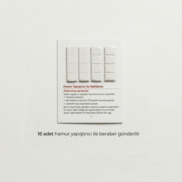 Natüralis Poster Serisi - 1