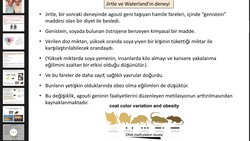 Epigenetik nasıl kontrol edilir?