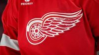 Red Wings rooks sent a warning to Dallas and the NHL