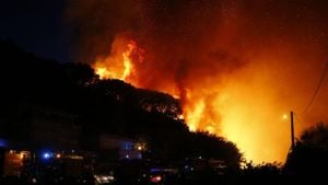 New Wildfire Erupts In Ōita Prefecture, Japan