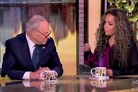 The View’s Sunny Hostin corners Schumer for siding with GOP: ‘I think you caved’