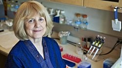 Mary-Claire King: İnsan ve Şempanzenin Genetik Akrabalığını İspatlayan Deha, Meme Kanserinin Şifresini de Kırdı!