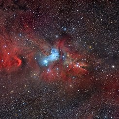 Tilki Kürkü, Tek Boynuzlu At ve Noel Ağacı