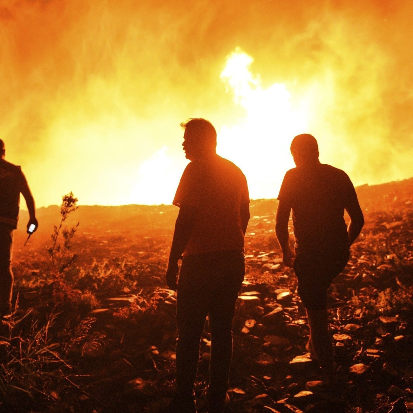 Evrim Ağacı ile Bilime Dair Her Şey!