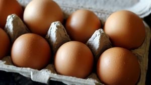 Costco Kirkland Eggs Face Recall Due To Salmonella Risk