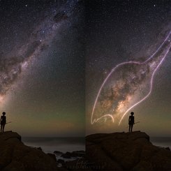 Samanyolu'ndaki Ñandú