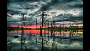 Yulia Baranovskaya And Garik Kharlamov Talk Vasyugan Swamps