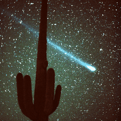 Latest Comet Hyakutake images: