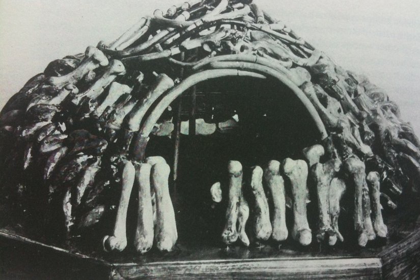 Ukrayna Mezhirich'ten yerleşim