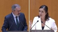 The PP rejects a PSOE motion in the Senate to describe the situation in Gaza as “genocide”