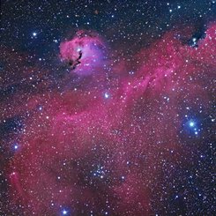 The Seagull Nebula