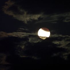 A Partial Lunar Eclipse