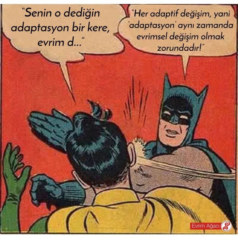 Batman ve Robin