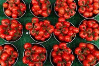 Tomatoes recalled in 14 states over salmonella risk