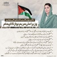 CM Maryam declares ‘end of land mafia rule’ as govt unleashes sweeping crackdown on land grabbers | Pakistan Today